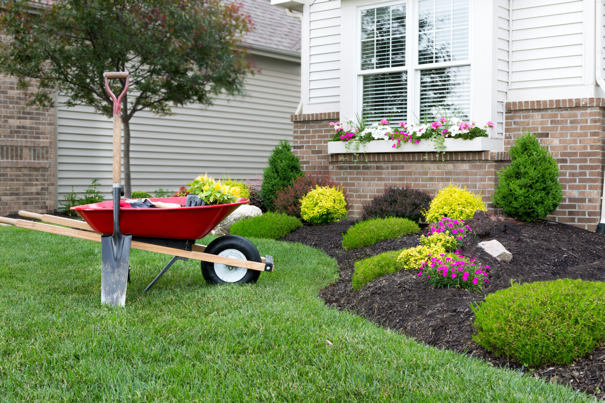 Landscaping SEO-Colorado Springs-CO