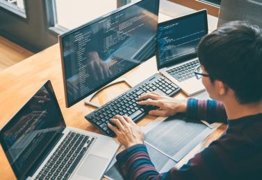 Professional,Development,Programmer,Working,In,Programming,Website,A,Software,And Professional,Development,Programmer,Working,In,Programming,Website,A,Software,And